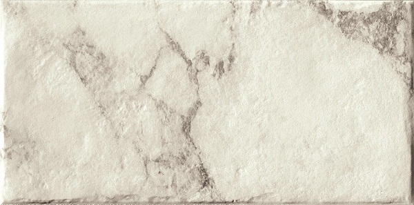 Плитка Magistra Classic Paonazzetto (20x40) - Serenissima Cir