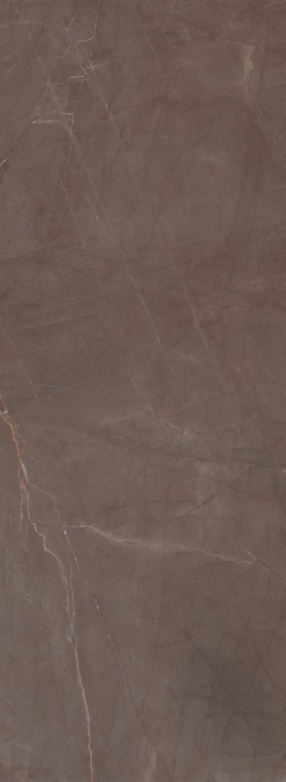 Плитка L315336MF6 Marmi Gaudi Stone Lucidato 6mm (150x300) - FMG MaxFine