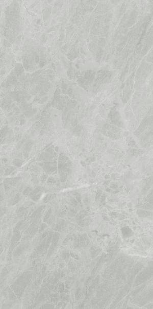 Плитка Gris De Savoie Lucidato Shiny (150x300) - Ariostea