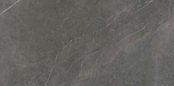 Плитка Marmi Classici Grey Marble Luc (60x120) - Ariostea