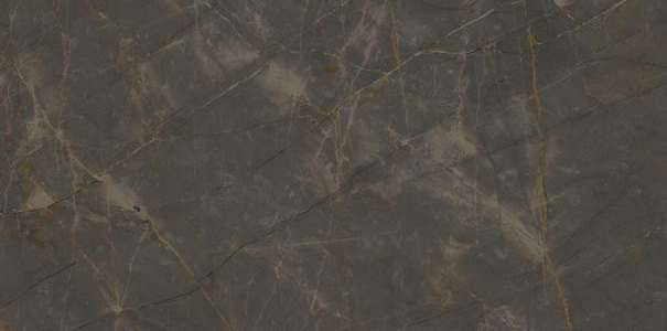 Плитка Marmi Classici Pulpis Grey Luc (60x120) - Ariostea