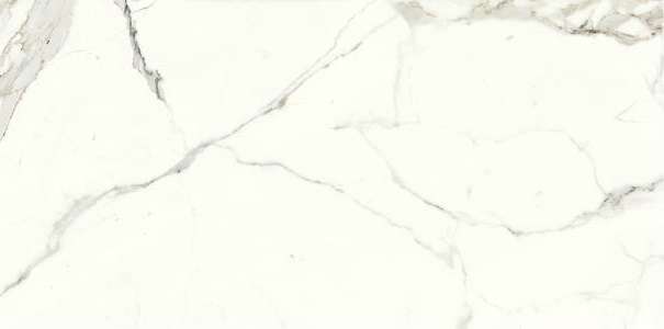 Плитка Marmi Classici Bianco Calacatta Soft (60x120) - Ariostea