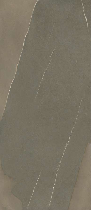 Плитка 600180000021 Metropolis Arcadia Brown Nat Ret (120x278) - Italon