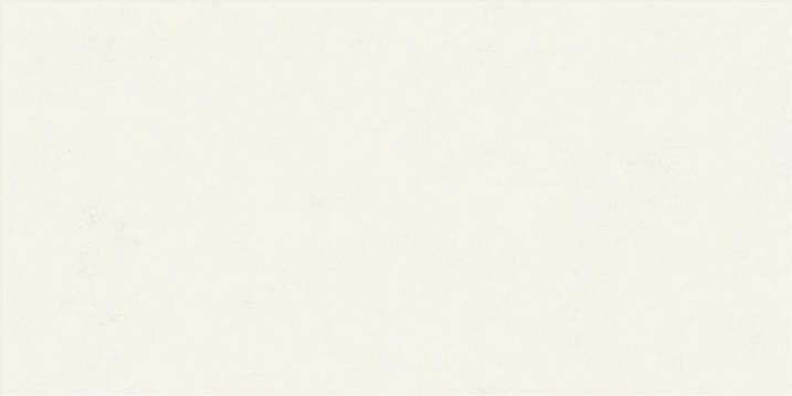Плитка Floralia Lys (60x120) - Ariana