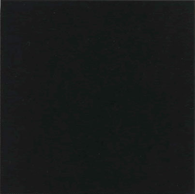 Плитка Monocolor Negro (31,6x31,6) - Vives