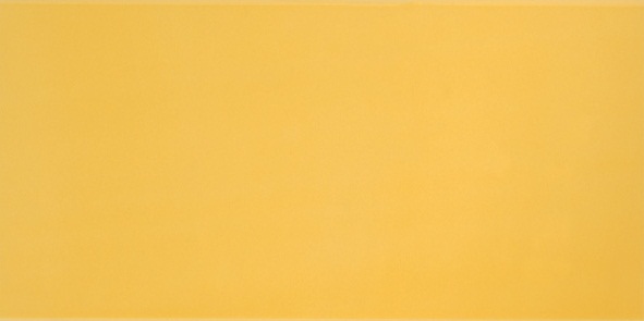 Плитка Agatha Amarillo (25x50) - Pamesa